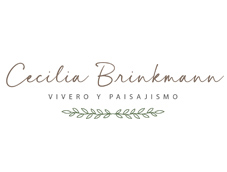 Cecilia Brinkmann
