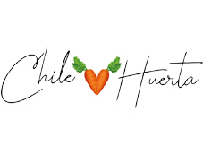 Chile Huerta