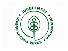 Suculentas