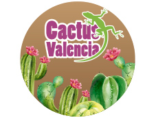 Cactus Valencia