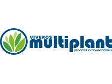 Multiplant
