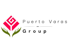 Puerto Varas Group