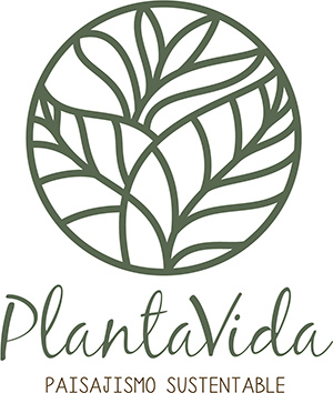 Planta-Vida