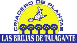 Las Brujas de Talagante