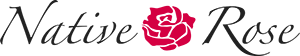 Native Rose